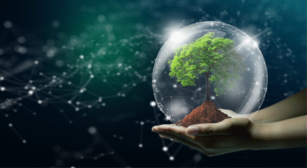 Sustainability Tech & Green IT
